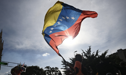 Web Venezuela En Rrss